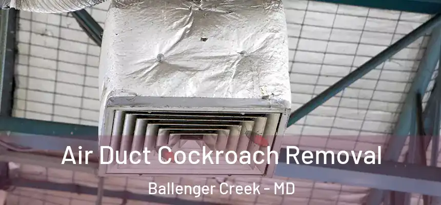  Air Duct Cockroach Removal Ballenger Creek - MD