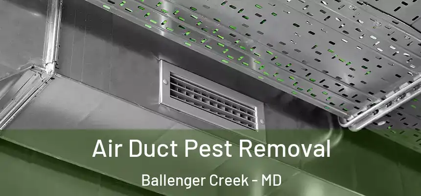  Air Duct Pest Removal Ballenger Creek - MD