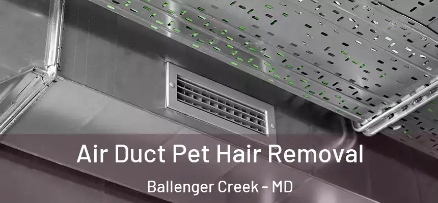  Air Duct Pet Hair Removal Ballenger Creek - MD