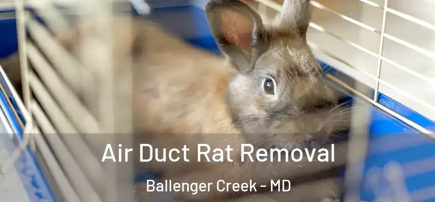  Air Duct Rat Removal Ballenger Creek - MD