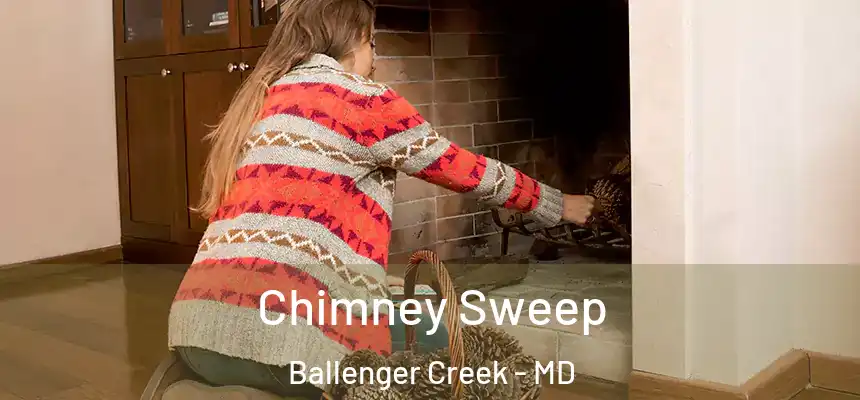  Chimney Sweep Ballenger Creek - MD