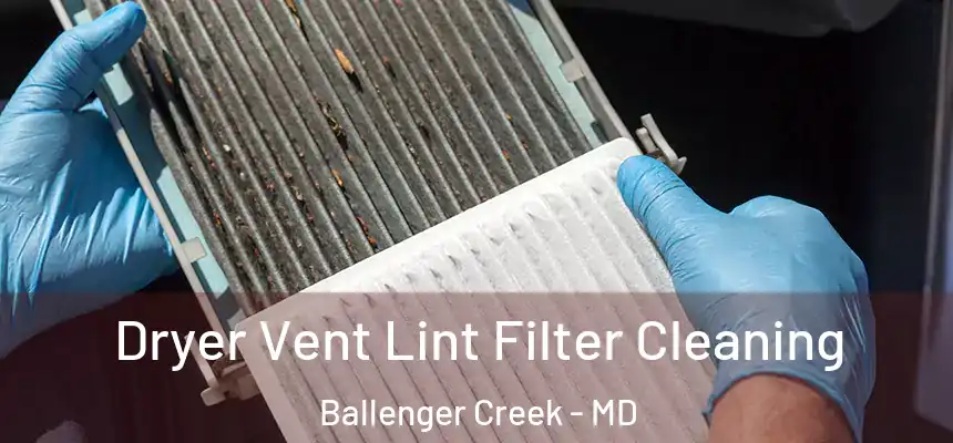  Dryer Vent Lint Filter Cleaning Ballenger Creek - MD
