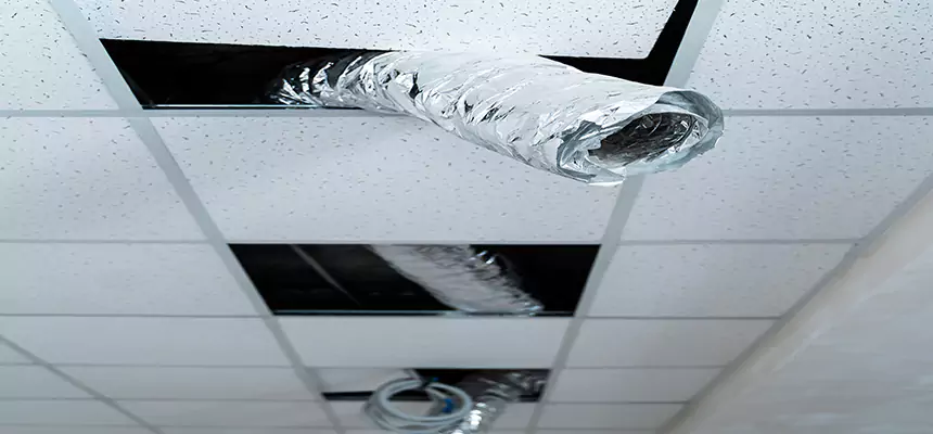 Affordable HVAC Sanitizing After Pest Removal in Ballenger Creek