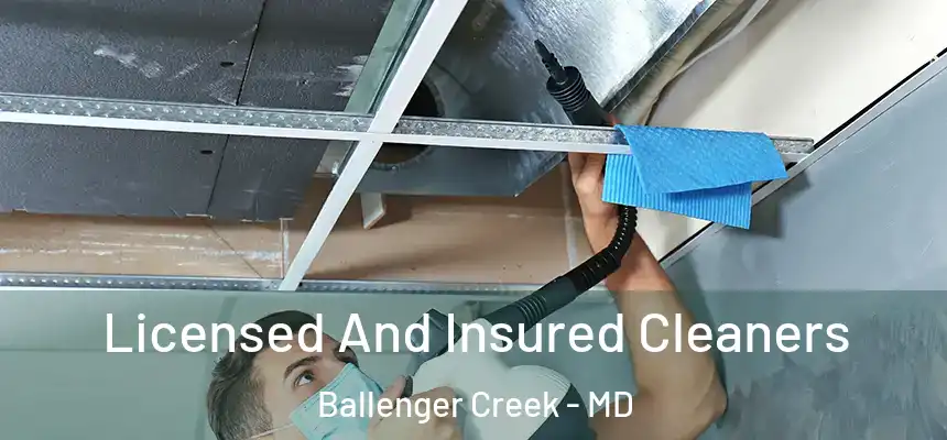  Licensed And Insured Cleaners Ballenger Creek - MD