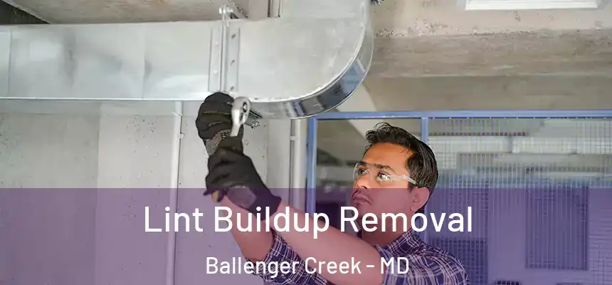  Lint Buildup Removal Ballenger Creek - MD