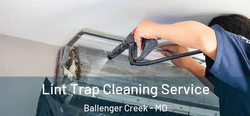  Lint Trap Cleaning Service Ballenger Creek - MD