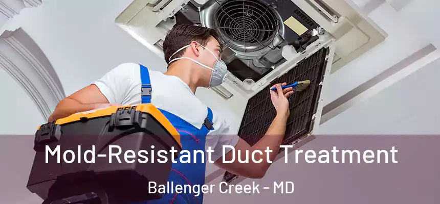  Mold-Resistant Duct Treatment Ballenger Creek - MD