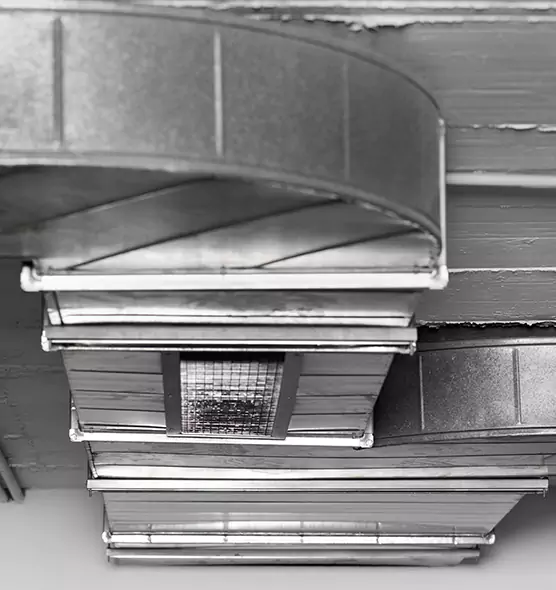 Professional Air Duct Pest Removal in Ballenger Creek, MD