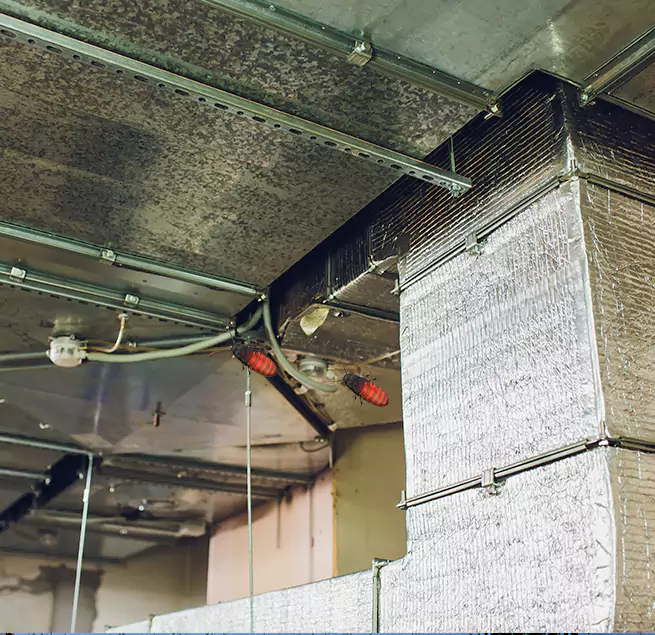 Why Homeowners & Businesses Trust Us in Ballenger Creek, MD?