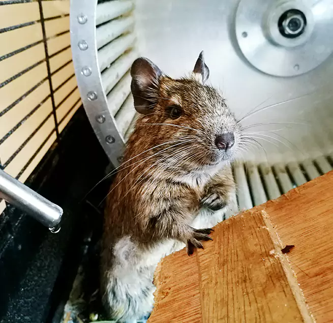 Why Homeowners & Businesses Trust Us Ballenger Creek, MD