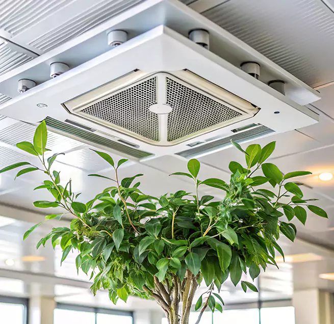 Why Homeowners & Businesses Trust Us in Ballenger Creek, MD?