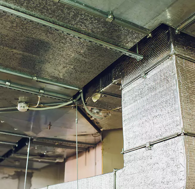 Why Homeowners & Businesses Trust Us in Ballenger Creek, MD?